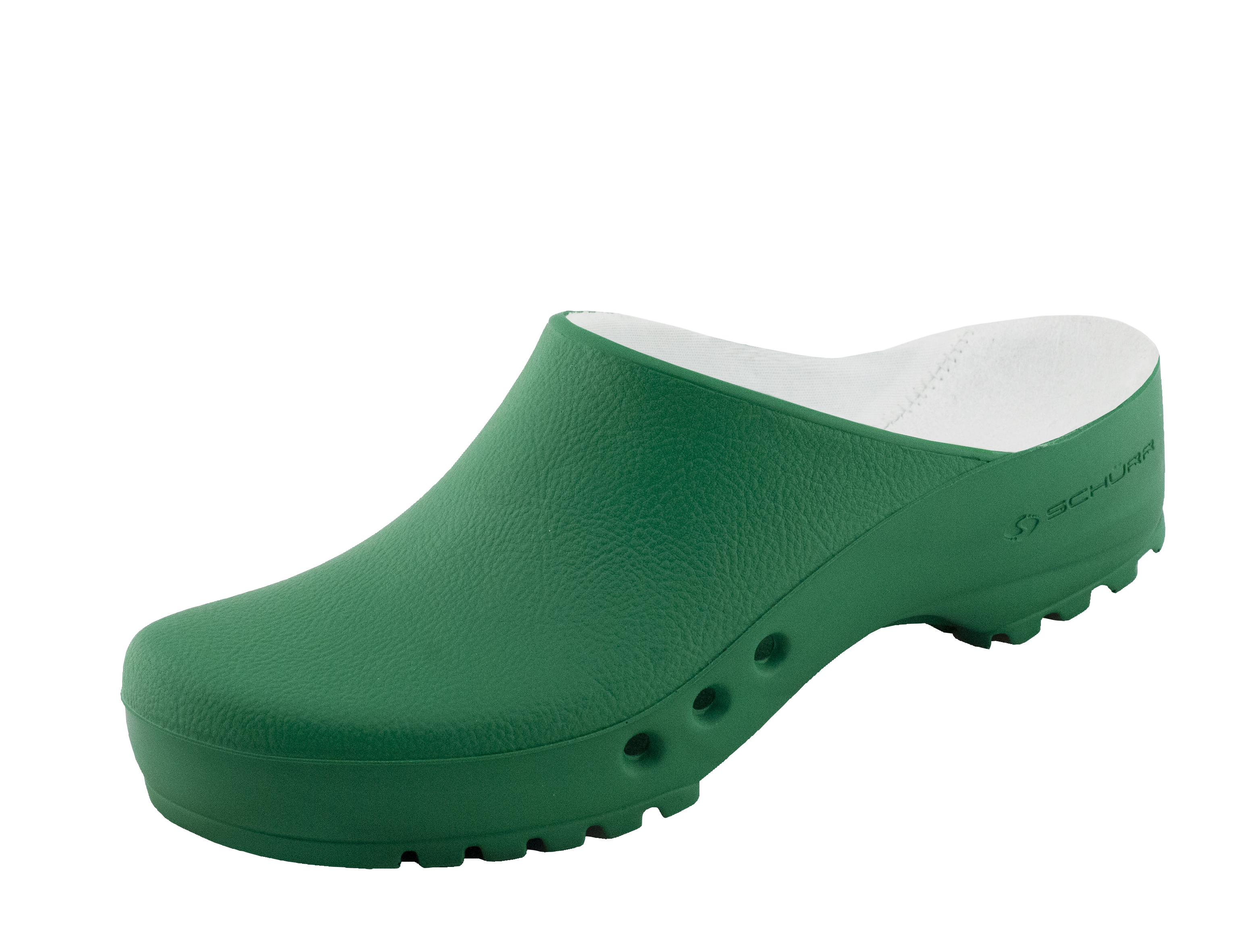 Chiroclogs PROFESSIONAL